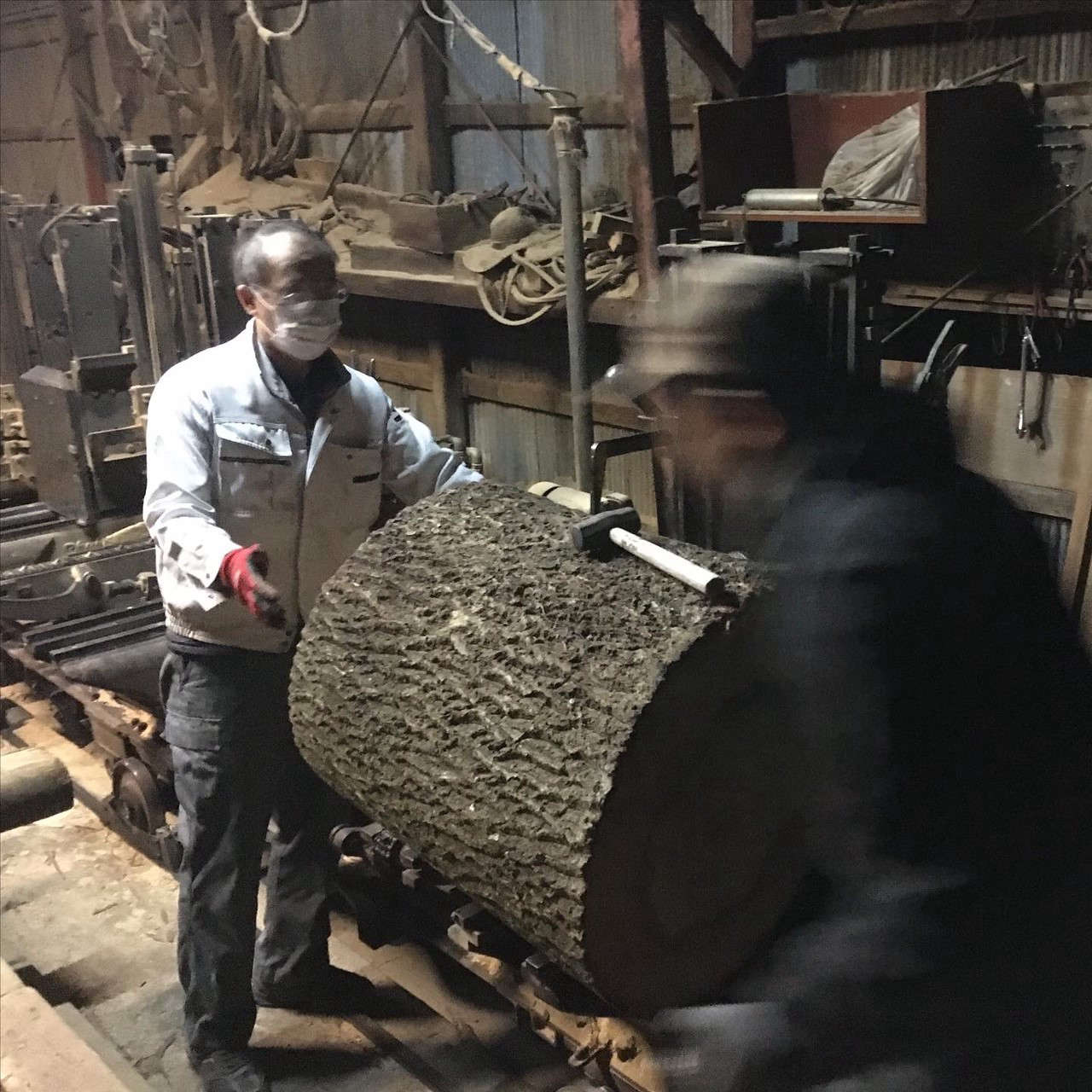 クヌギの製材 | news | 田中製材所