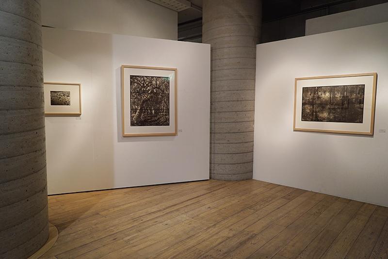 栗田紘一郎 Koichiro Kurita プラチナプリント写真 古典プリント 第29回企画- 栗田紘一郎+平竜二 「光の漂流物」展 – Librairie6