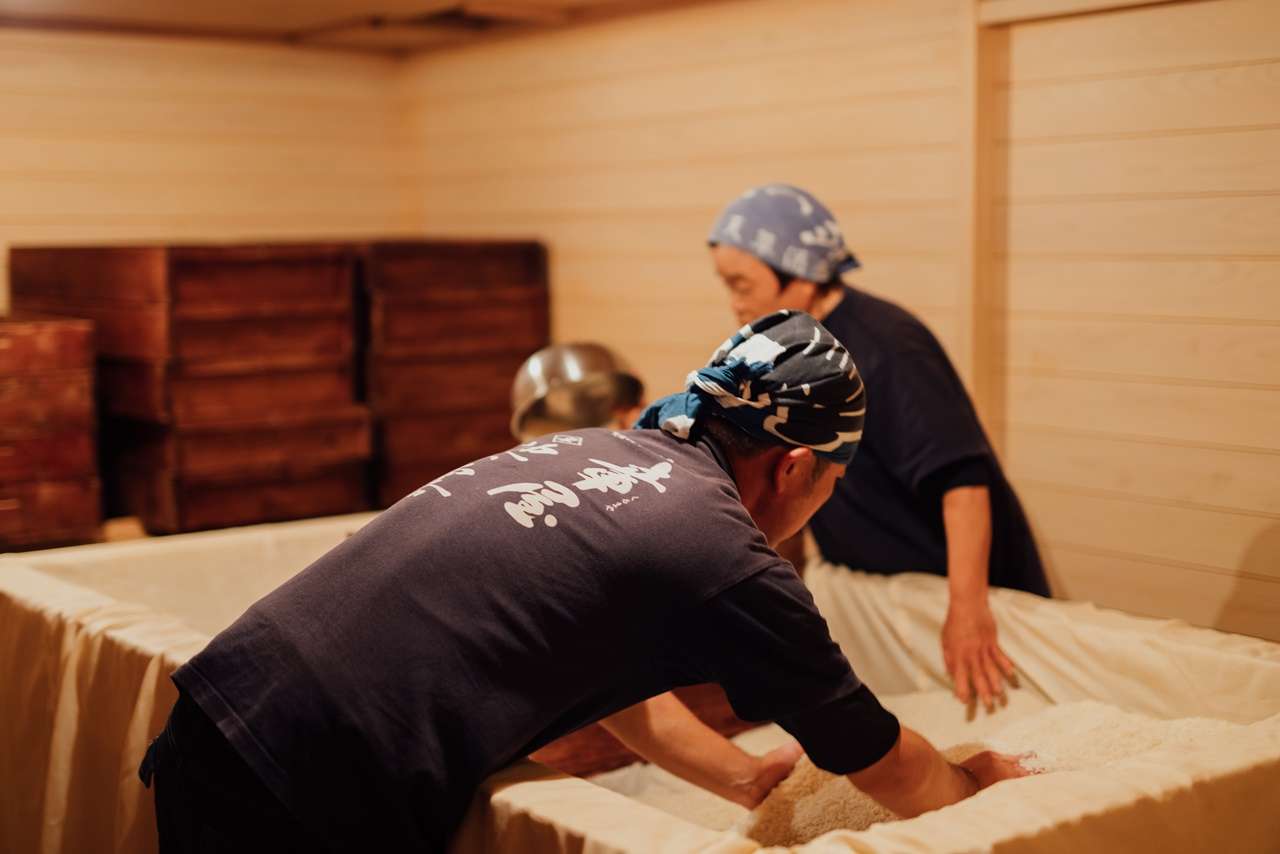 天草酒造からスペシャルな「池の露SLOWLY」が入荷しました！ | Gosoku