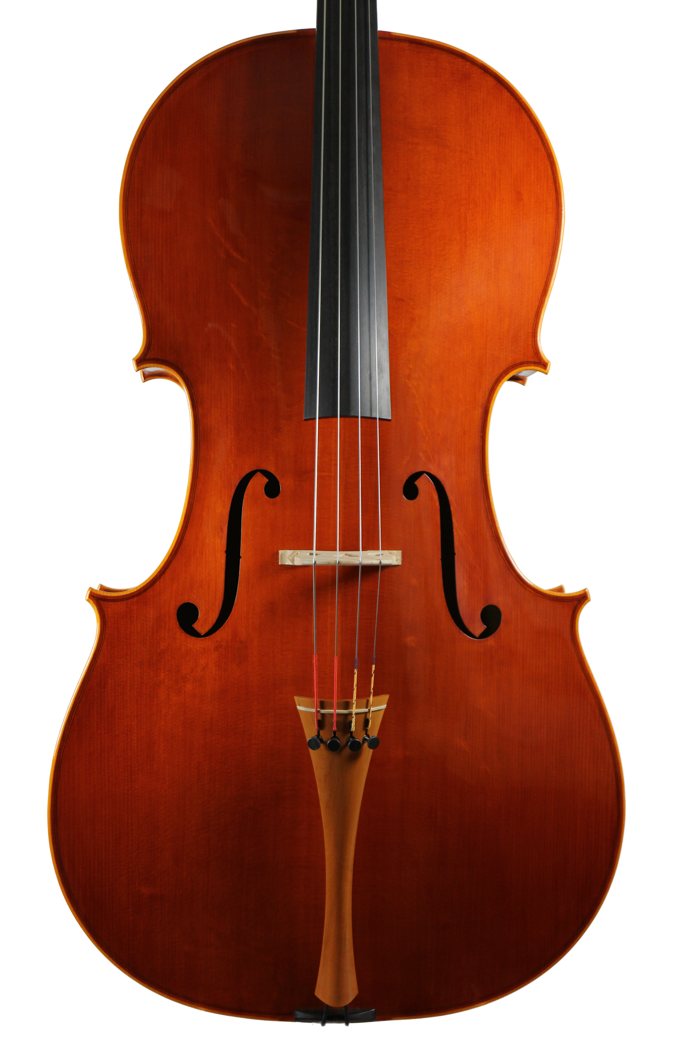 Piero Virdis氏のCelloが入荷いたしました。 | Story | 弦楽器専門店