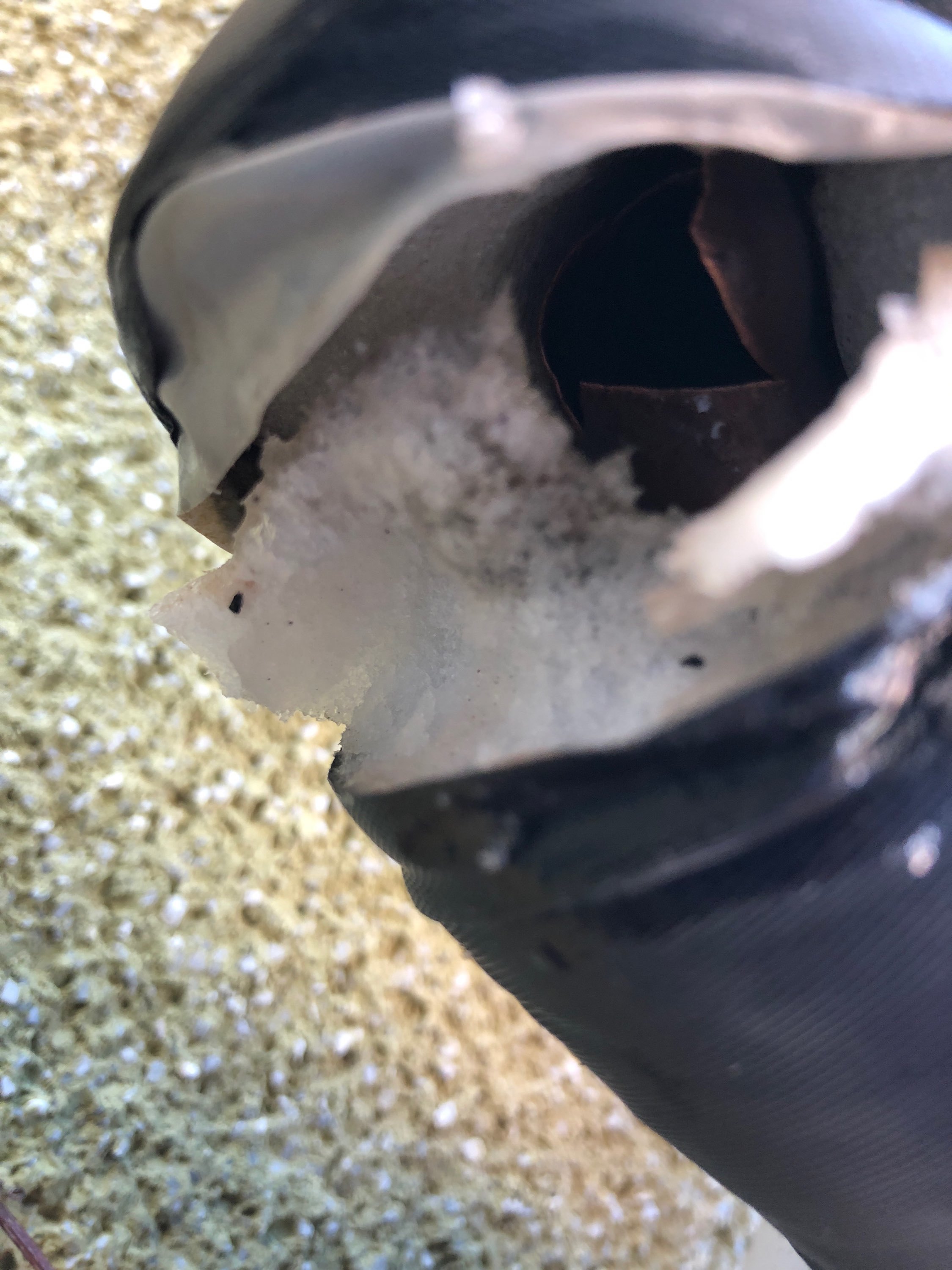 凍結にご注意ください Blog スタッフブログ 群馬 高崎 前橋の注文住宅 関工務所