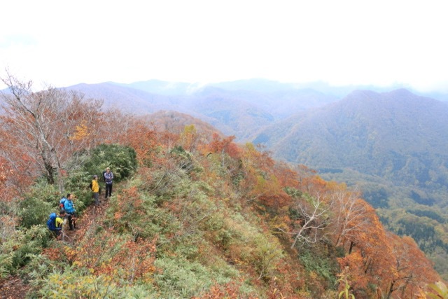 ブナの森、白神山地へ。その2 | blog | 屋久島山歩（やくしま