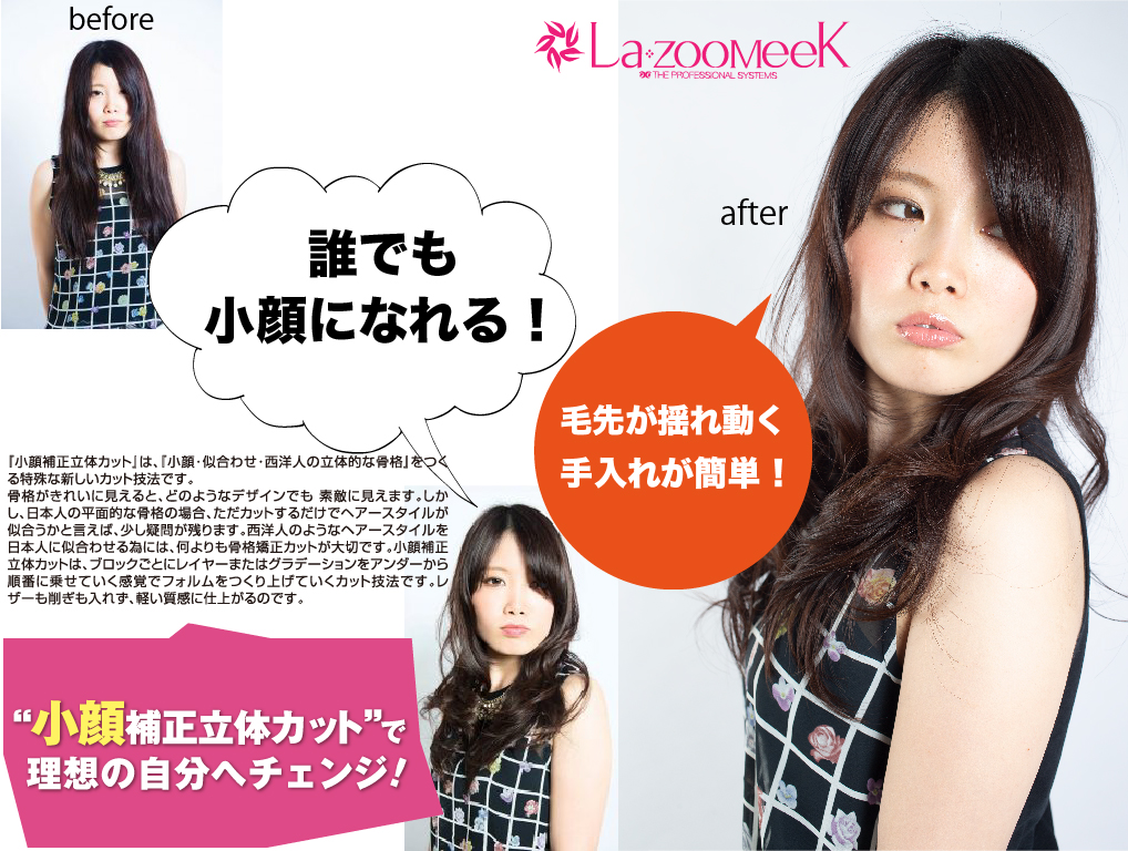 宮崎市昭和町の美容室で小顔補正立体カットディプロマ取得のスタイリストが叶えます Blog Blog 美容室 Lazoomeek ラズーミーク