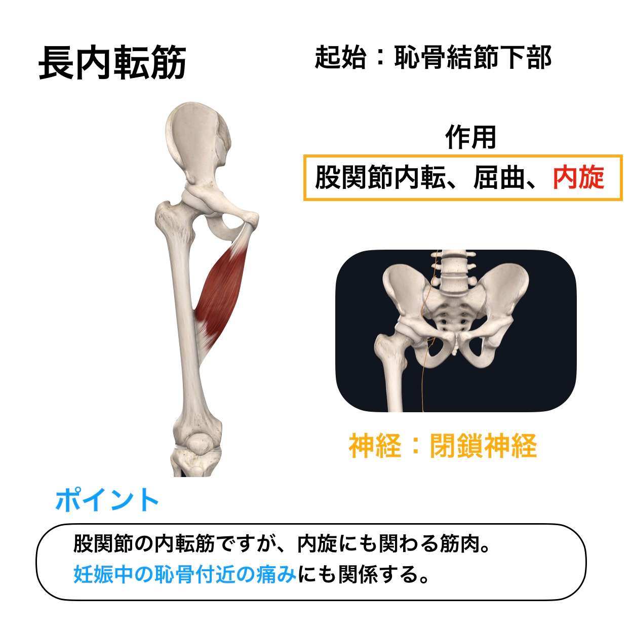 妊娠中のトラブル 腰痛と仙骨 恥骨の痛み ブログ 与野駅より徒歩5分 さいたま新都心 与野本町駅より徒歩12分アギトス鍼灸整骨院