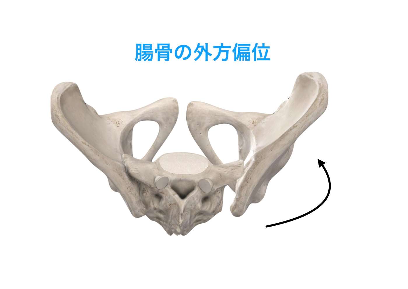 妊娠中のトラブル 腰痛と仙骨 恥骨の痛み ブログ 与野駅より徒歩5分 さいたま新都心 与野本町駅より徒歩12分アギトス鍼灸整骨院