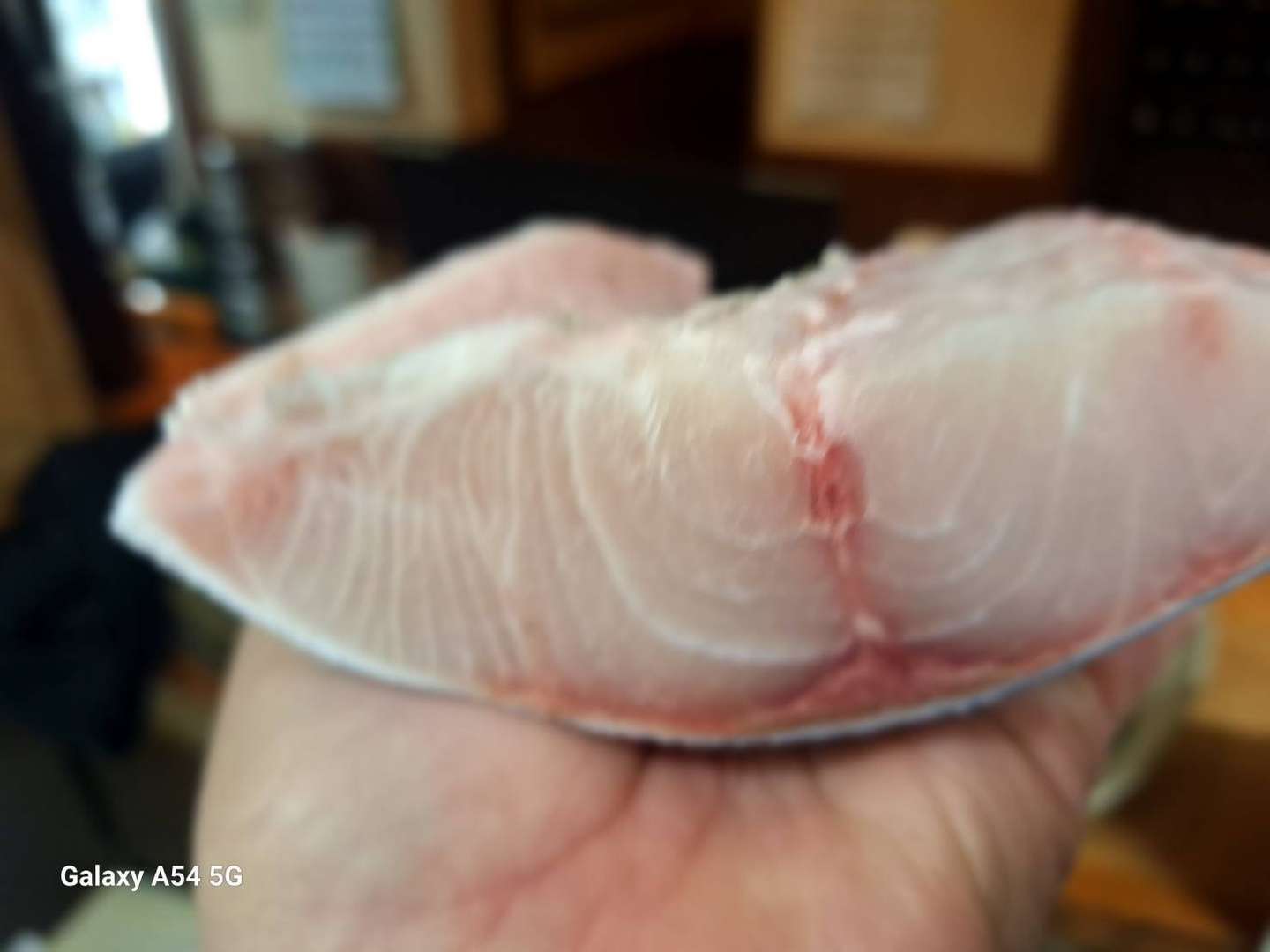 究極の血抜き「津本式」のお魚あります！ | ブログ | 磯吉