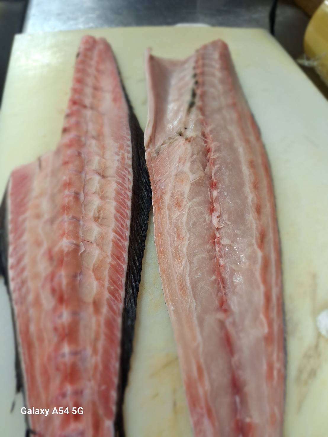究極の血抜き「津本式」のお魚あります！ | ブログ | 磯吉