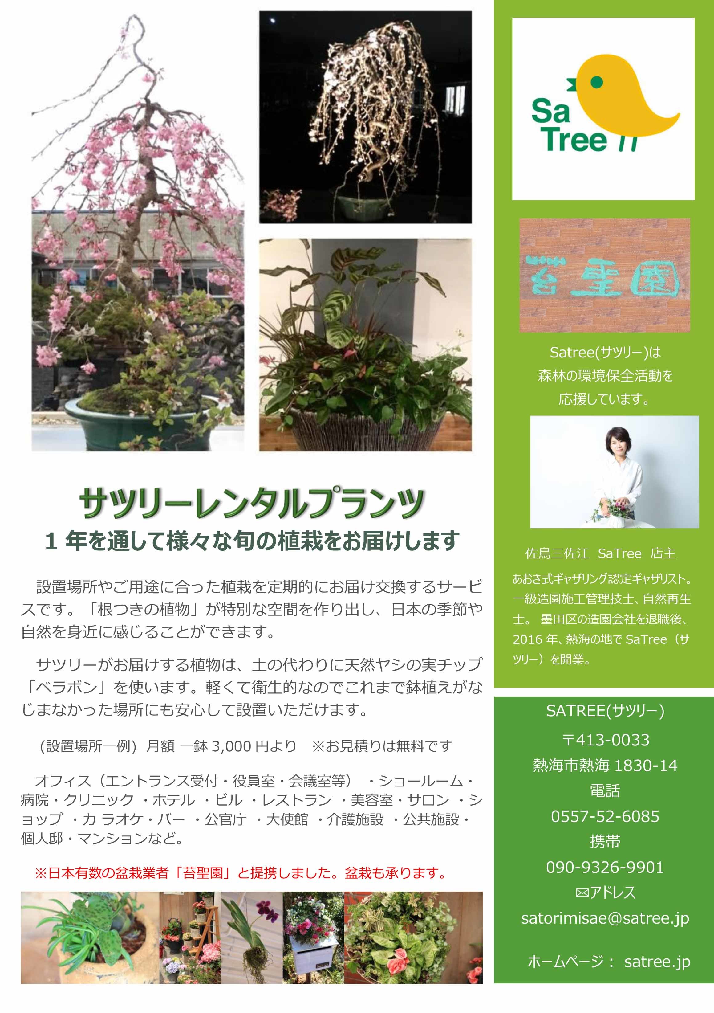 スタッフブログインデックス Of ガーデンデザイン 造園 お庭の手入れ 植栽レンタル リース Satree サツリー 熱海 東京