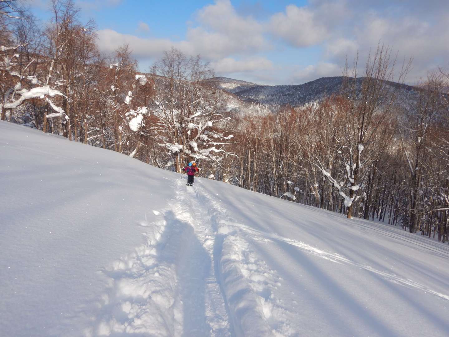 タケノコ山 1月28日 | ブログ | 北海道の登山ガイドゼクランクラブ