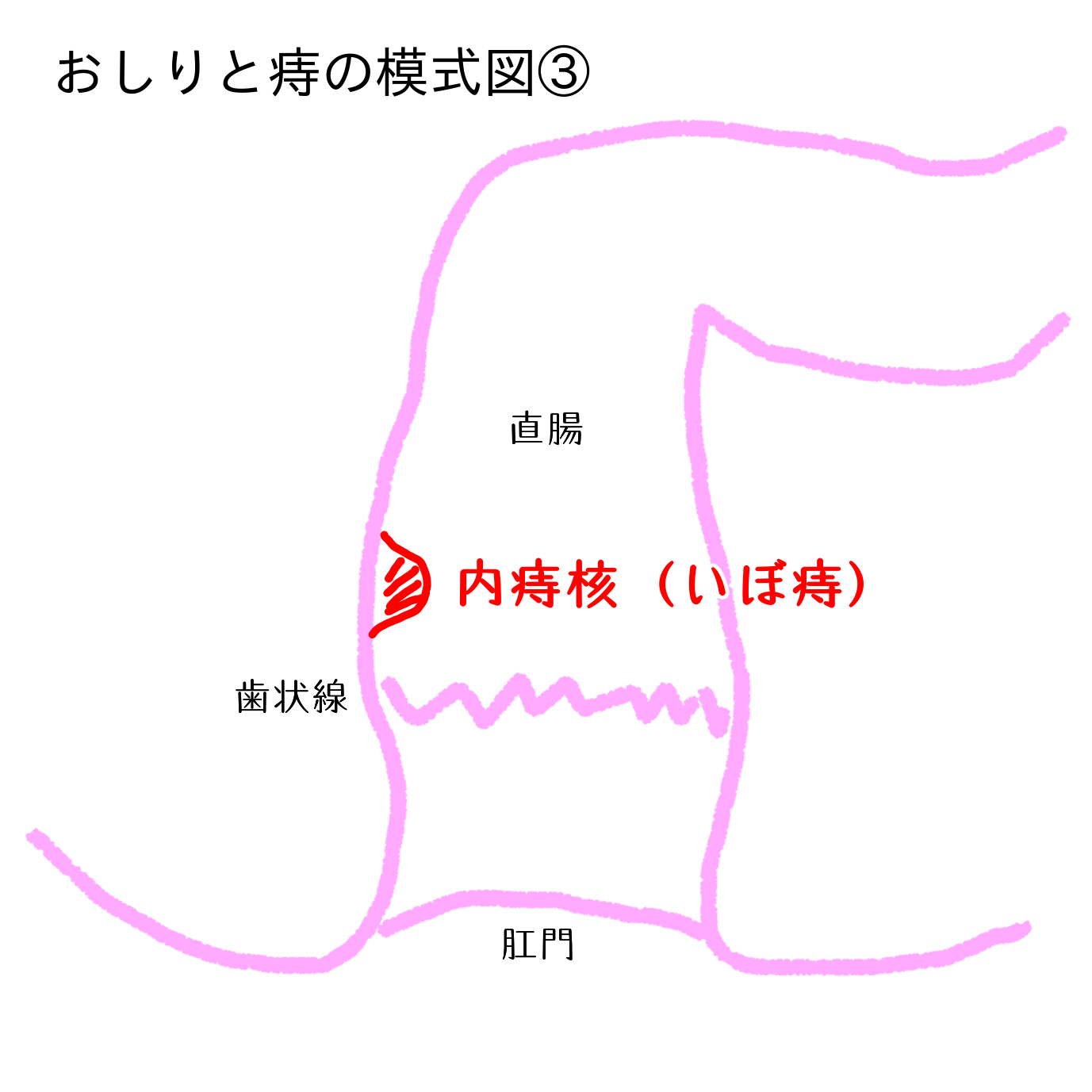 痔と漢方 Blog News 素問元気堂薬局