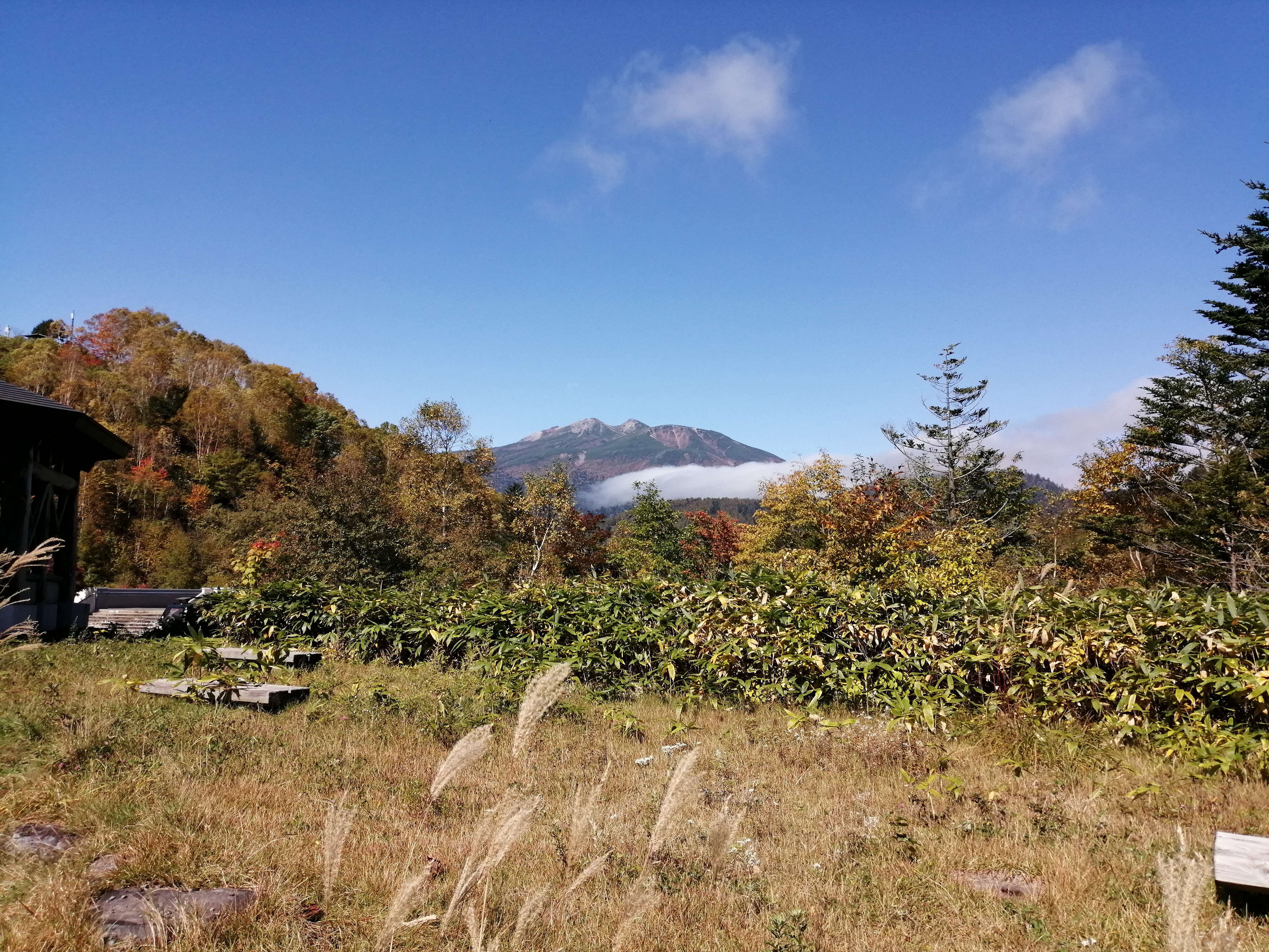 奈川紅葉状況 公式 信州の田舎奈川