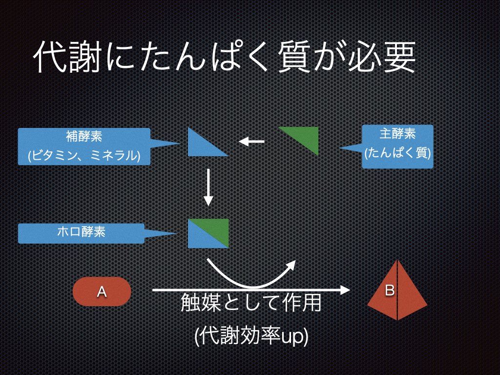 ホメオスタシスの維持に必要なのは | TOPICS | 医療法人おざさクリニック