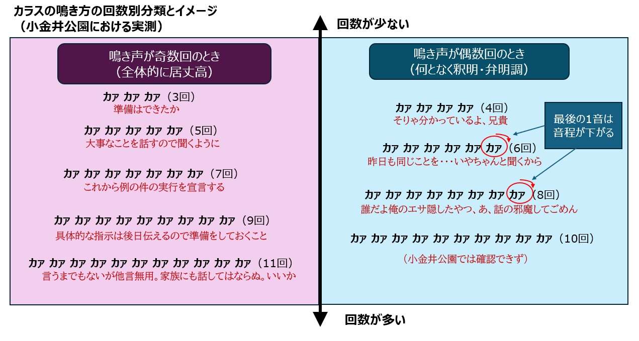カラス 鳴き声 意味