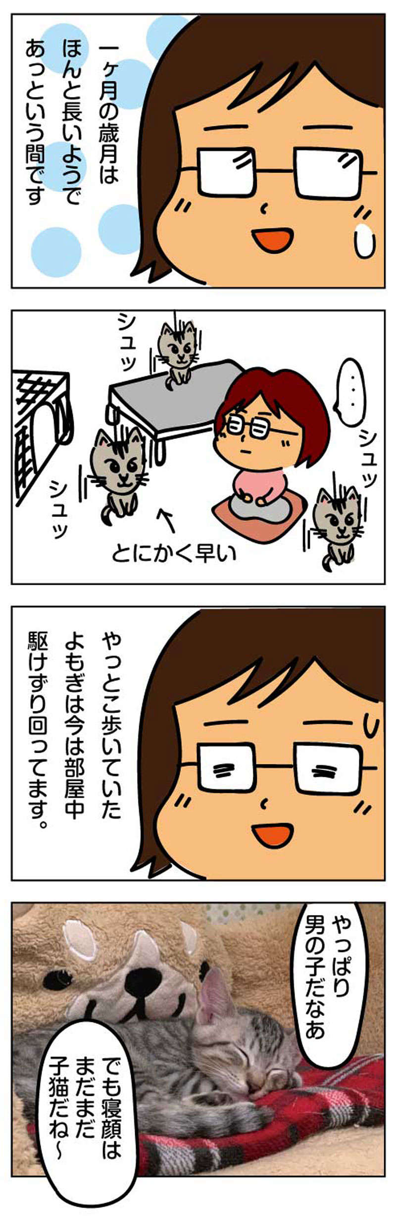 ４コマ漫画 驚きの子猫の成長 わん にゃんリフォームブログ わん にゃんリフォーム マンション編