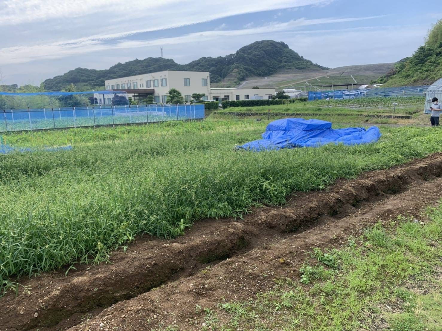 農業用ハウスの施工完了しました！【ビニールハウス、基礎石、大工 