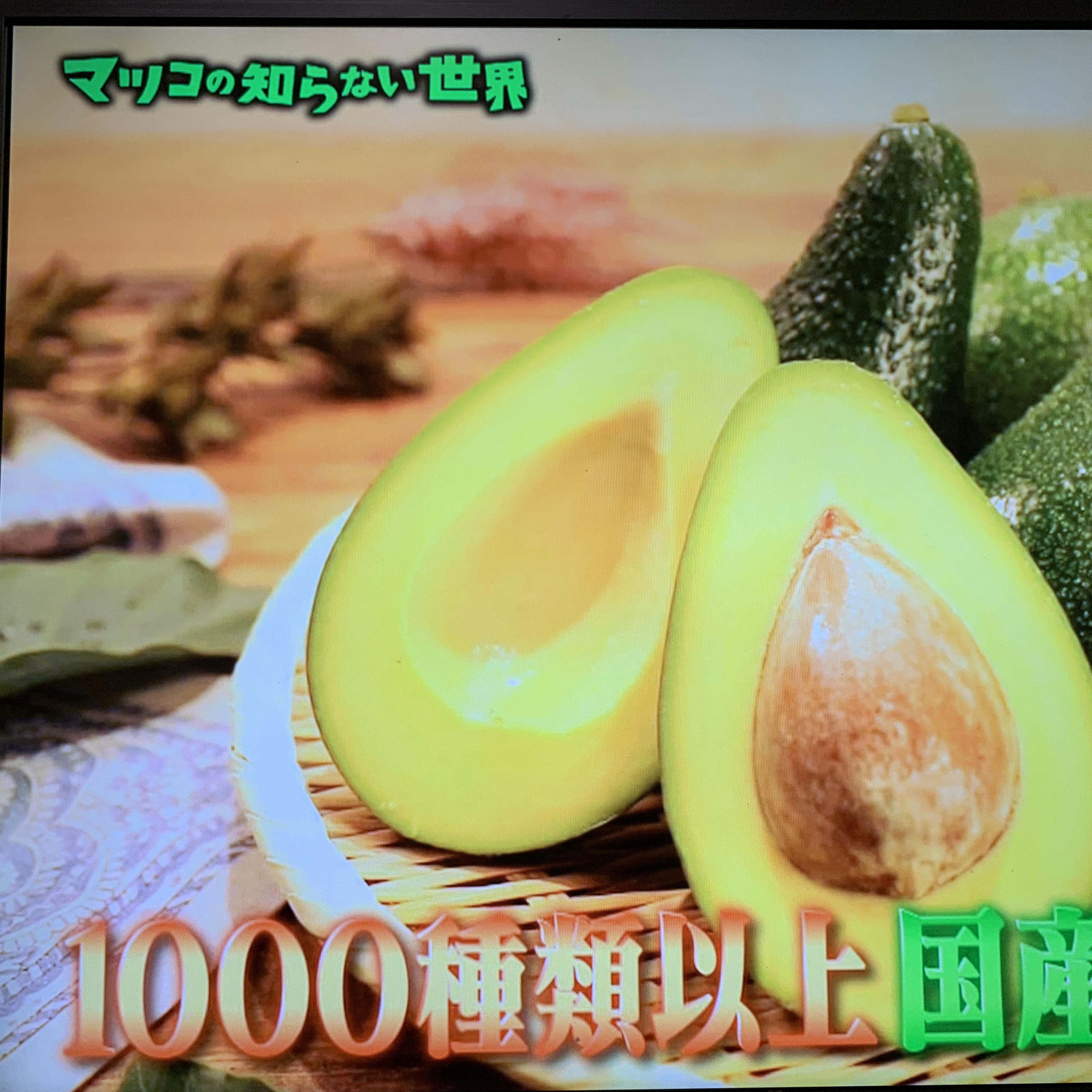 TBS「マツコの知らない世界」に出演させて頂きました。 | メディア情報