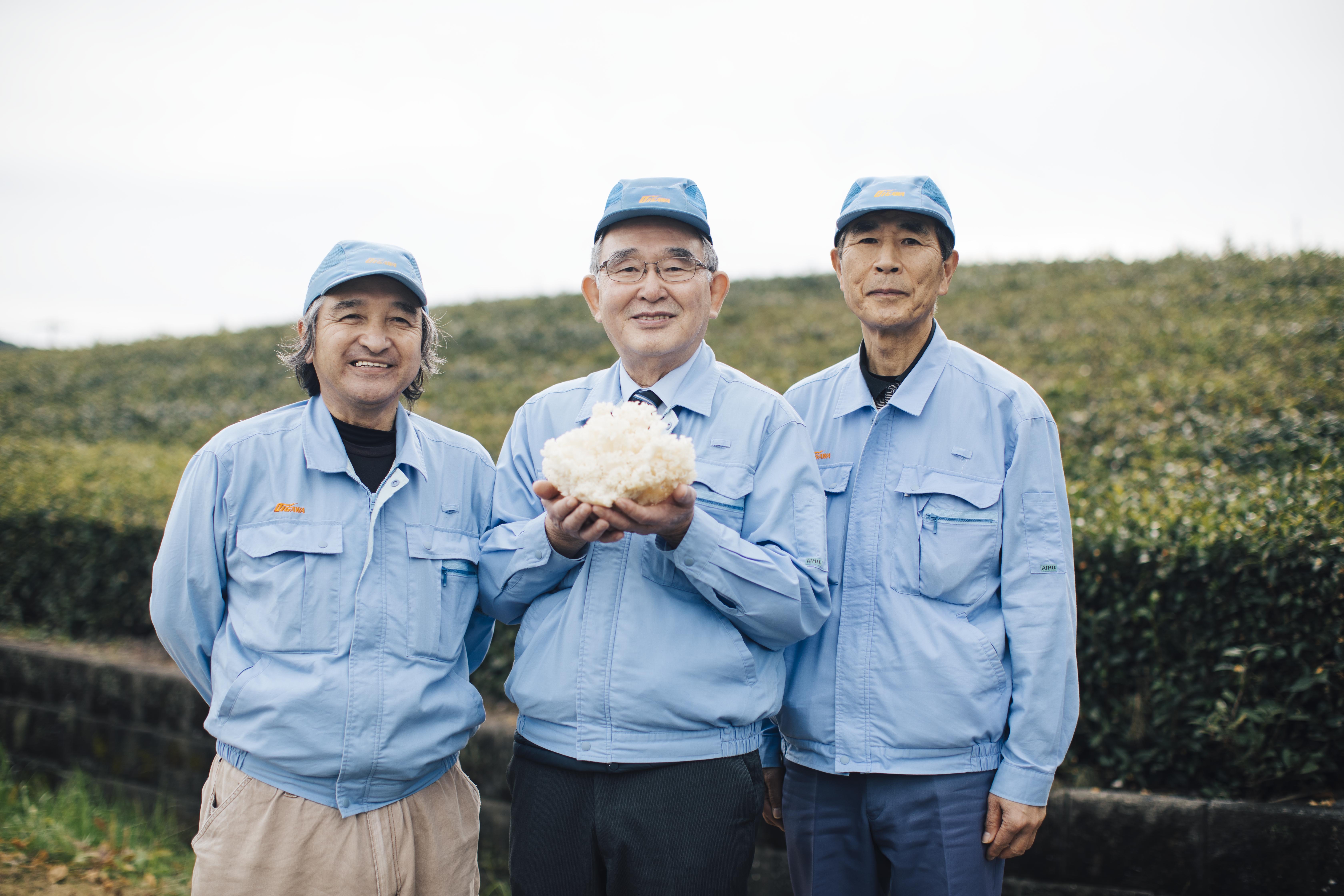 報道資料】はなびらたけを新ブランド「ホホホタケ」に刷新 〜 売上3年