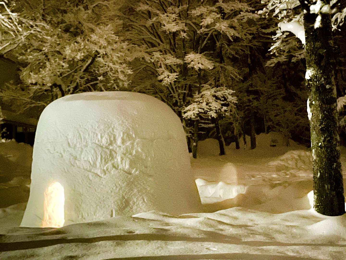 かまくらのあるコテージ かまくらdeお鍋 23年販売開始 Laboland News ラボランドくろひめ 大地の教室