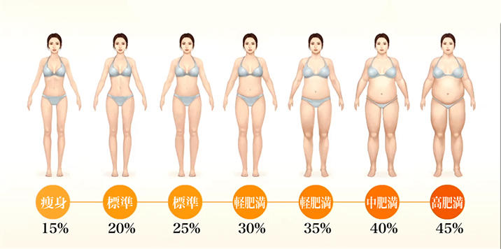 理想の体脂肪率 Skywalk通信 ピラティス ダイエットスタジオ Skywalk