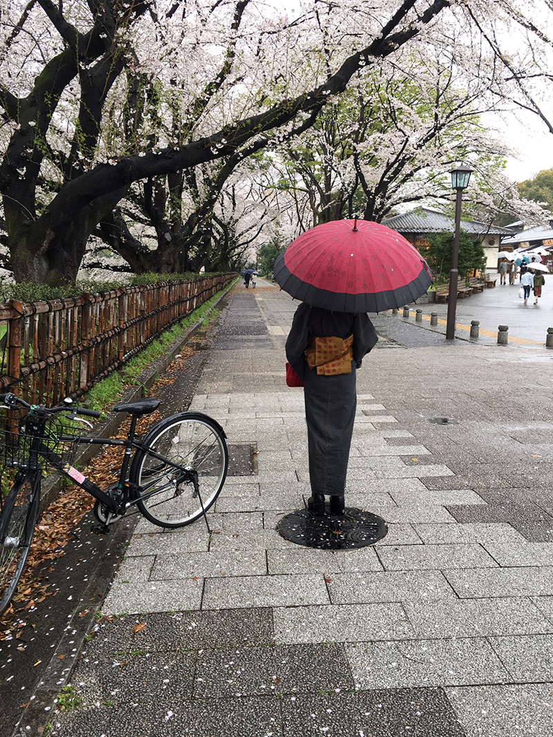 お花見行ってきました Blog 名古屋の印刷会社プレス トーク