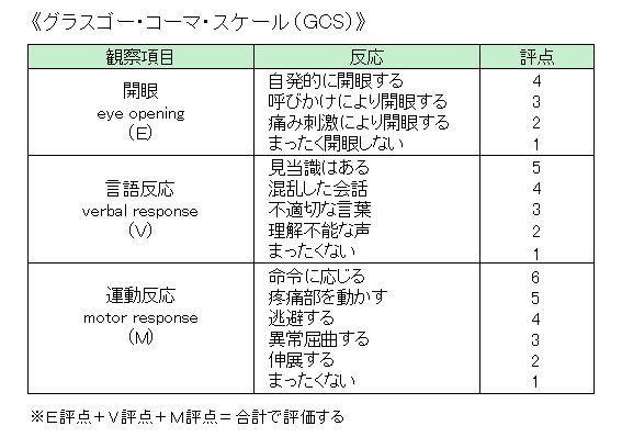 高次脳機能障害 認定の基準 交通事故コラム キリン先生の交通事故講座 Daichi Lohp