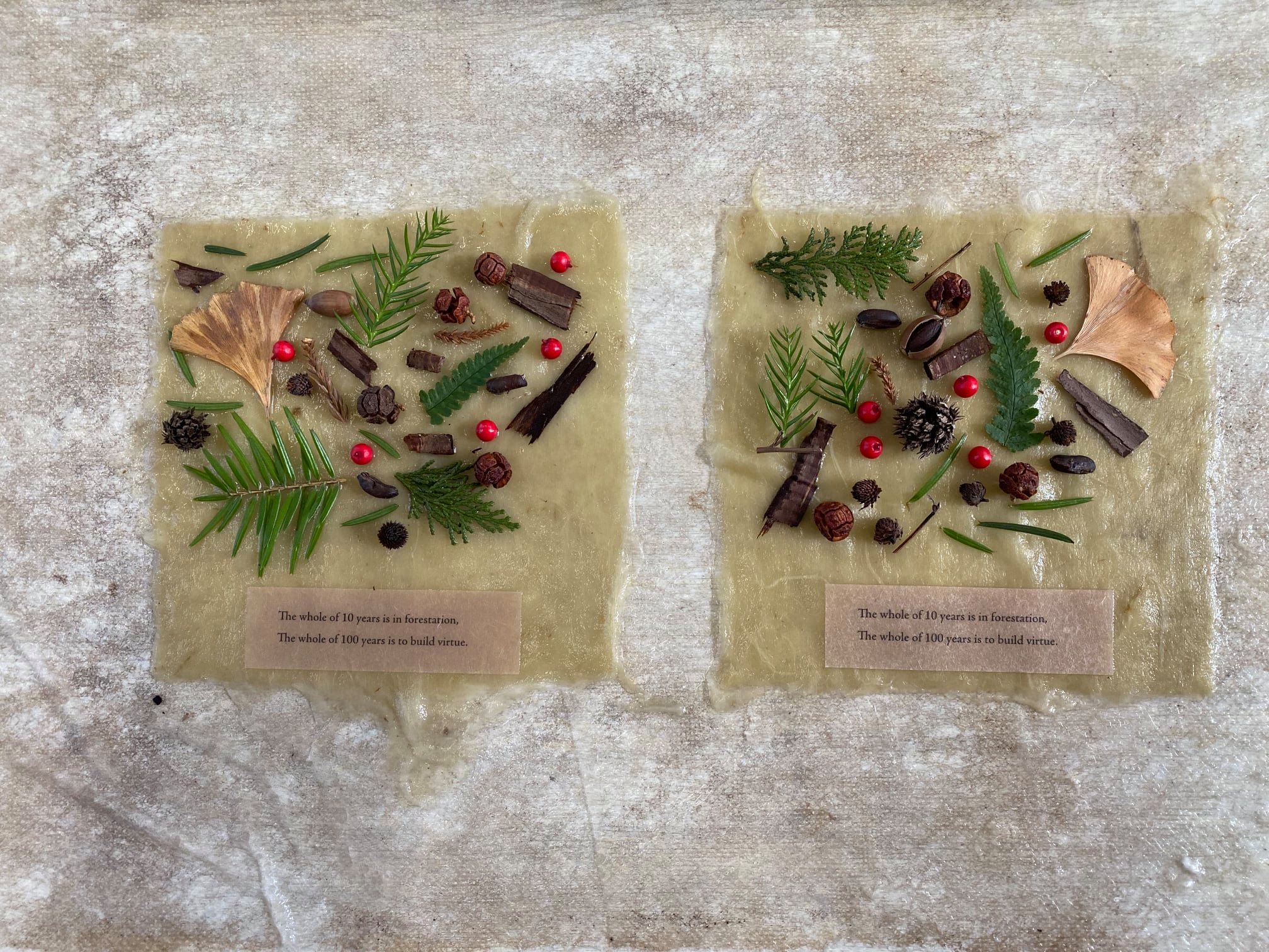 ときがわ森図鑑 ワークショップに参加してきました ブログ 川原晋研究室 東京都立大学 観光まちづくり