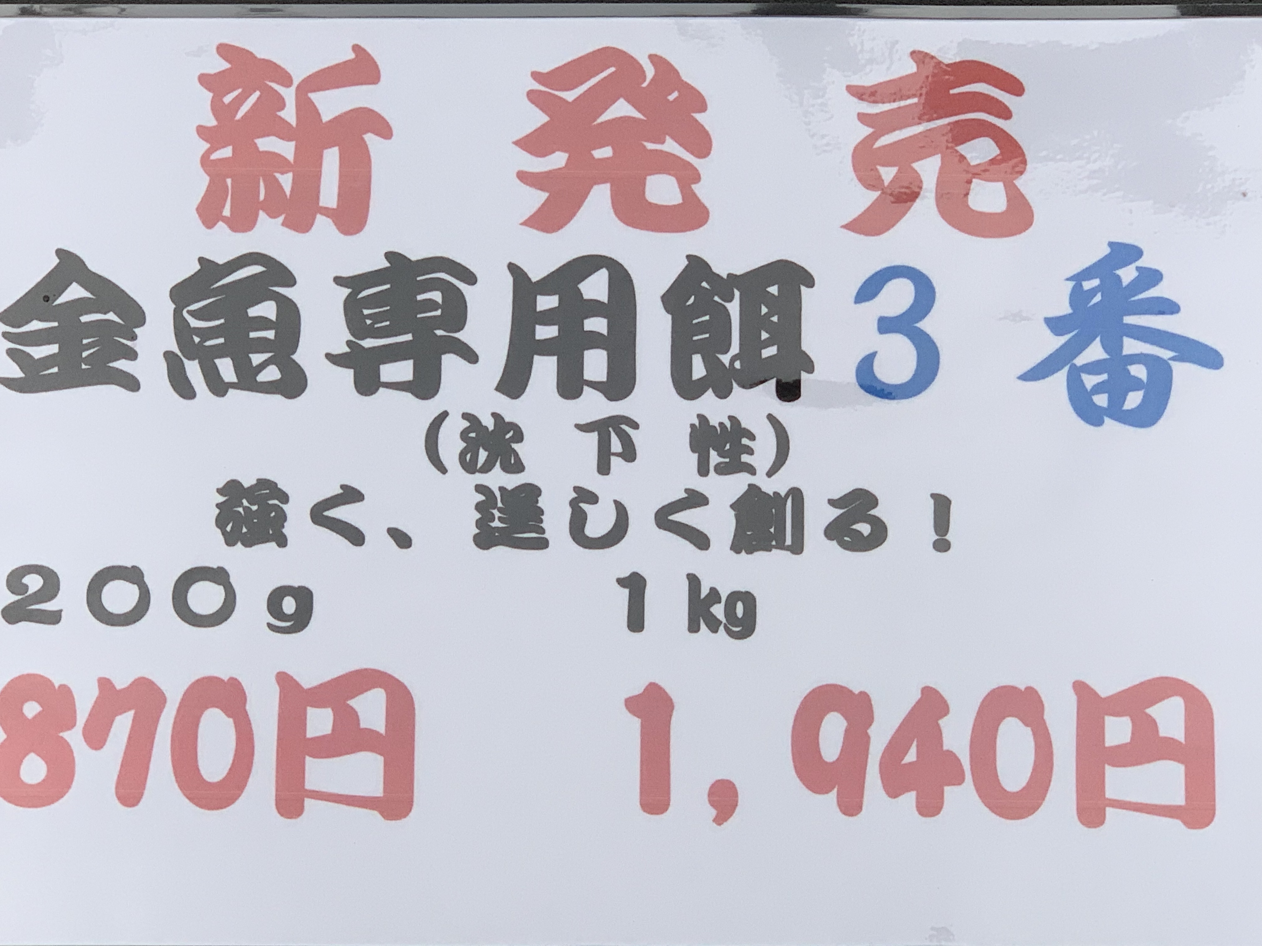 金魚専用餌3番 ウェブショップでも販売中 | blog_懐古堂ブログ | 金 