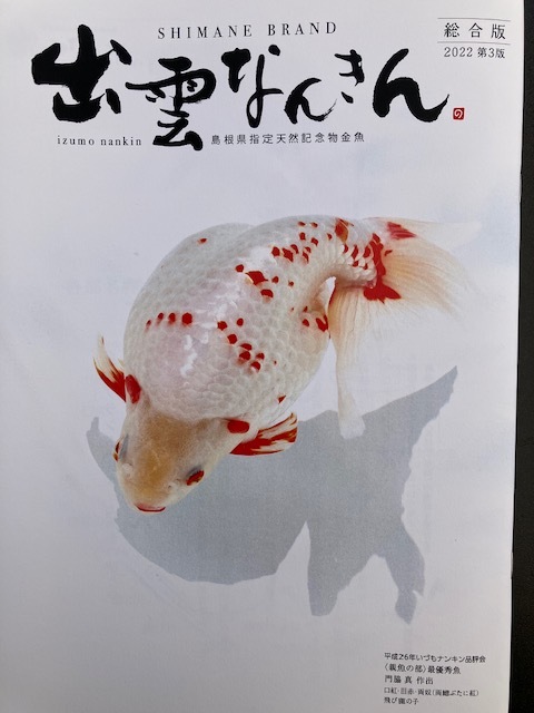 新刊の紹介 | blog_懐古堂ブログ | 金魚屋 懐 古 堂
