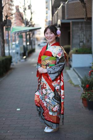 大人用 舞妓さんサイズ 藤の花 つまみかんざし 日本舞踊にも