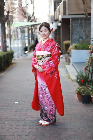 藤徳きもの 桃色艶帯 （ちりめん振袖の通販 | 着物・和服の価格比較 