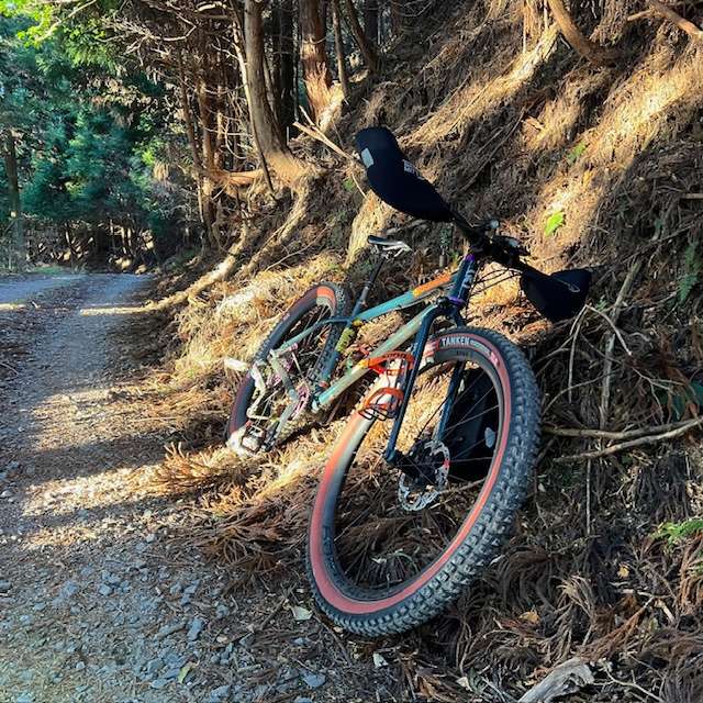 早朝に林道を走って..、ある忘れ物を… | スポーツ本館ブログ | 愛知県