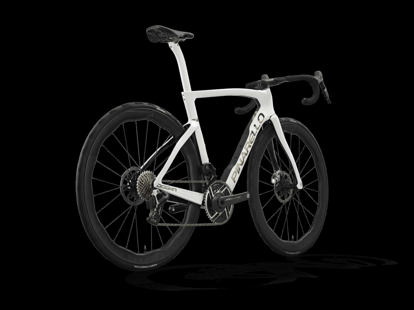 P25_DOGMA_F_G113_RED_PRINCETON