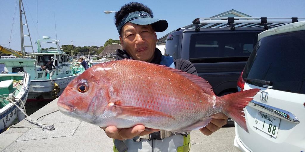 真鯛トップ4枚 最大1 8kg 21年あまさけや丸ブログ あまさけや丸 松輪 剣崎の釣り船 江奈港