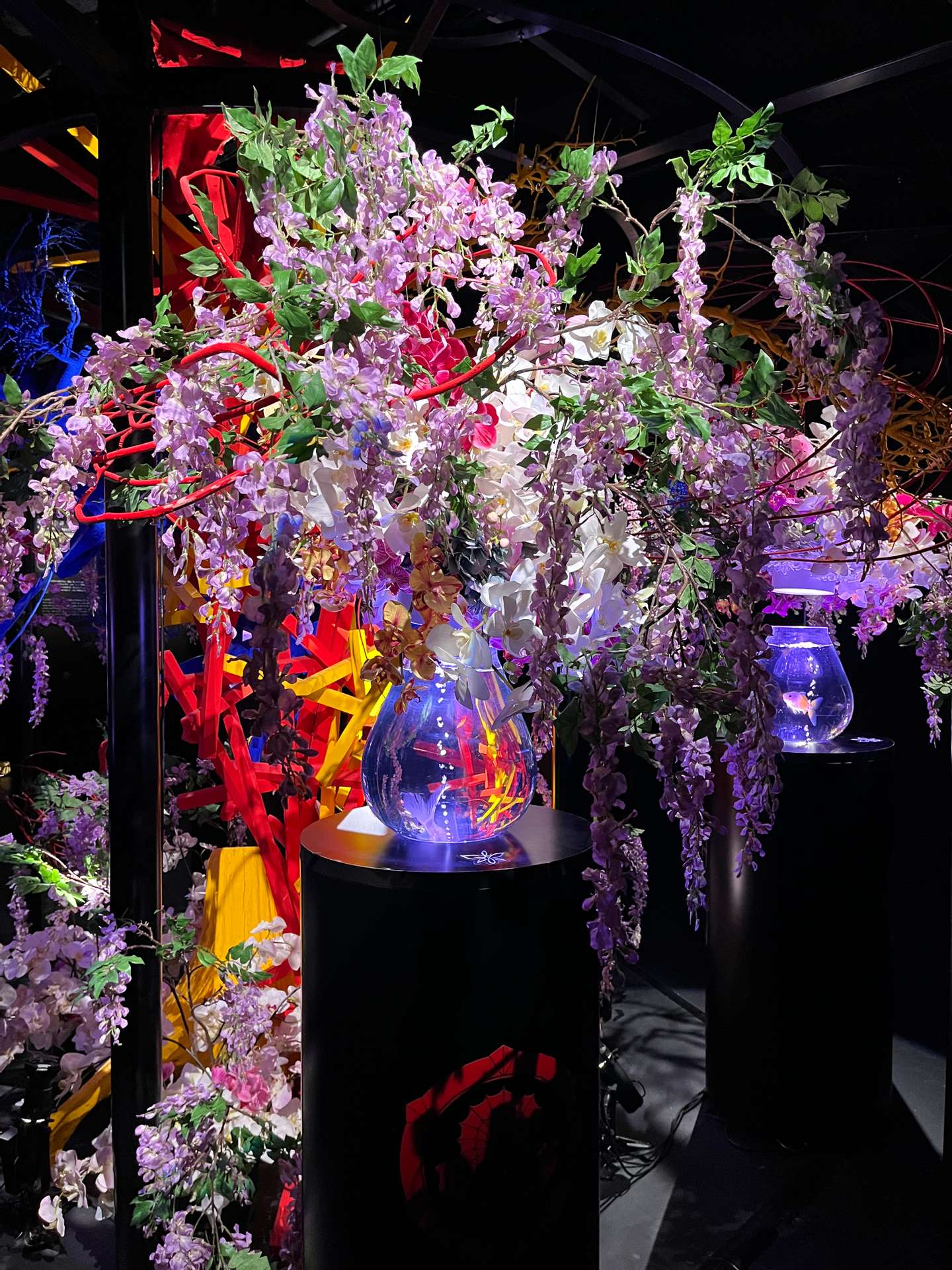 藤と紫陽花の季節～アートアクアリウム美術館に行ってきました