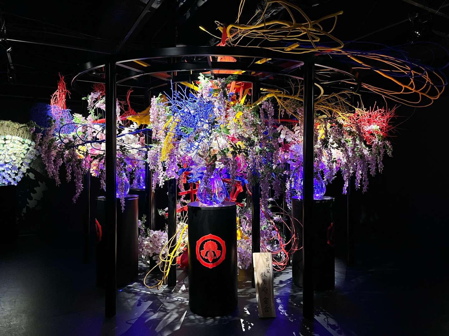 藤と紫陽花の季節～アートアクアリウム美術館に行ってきました