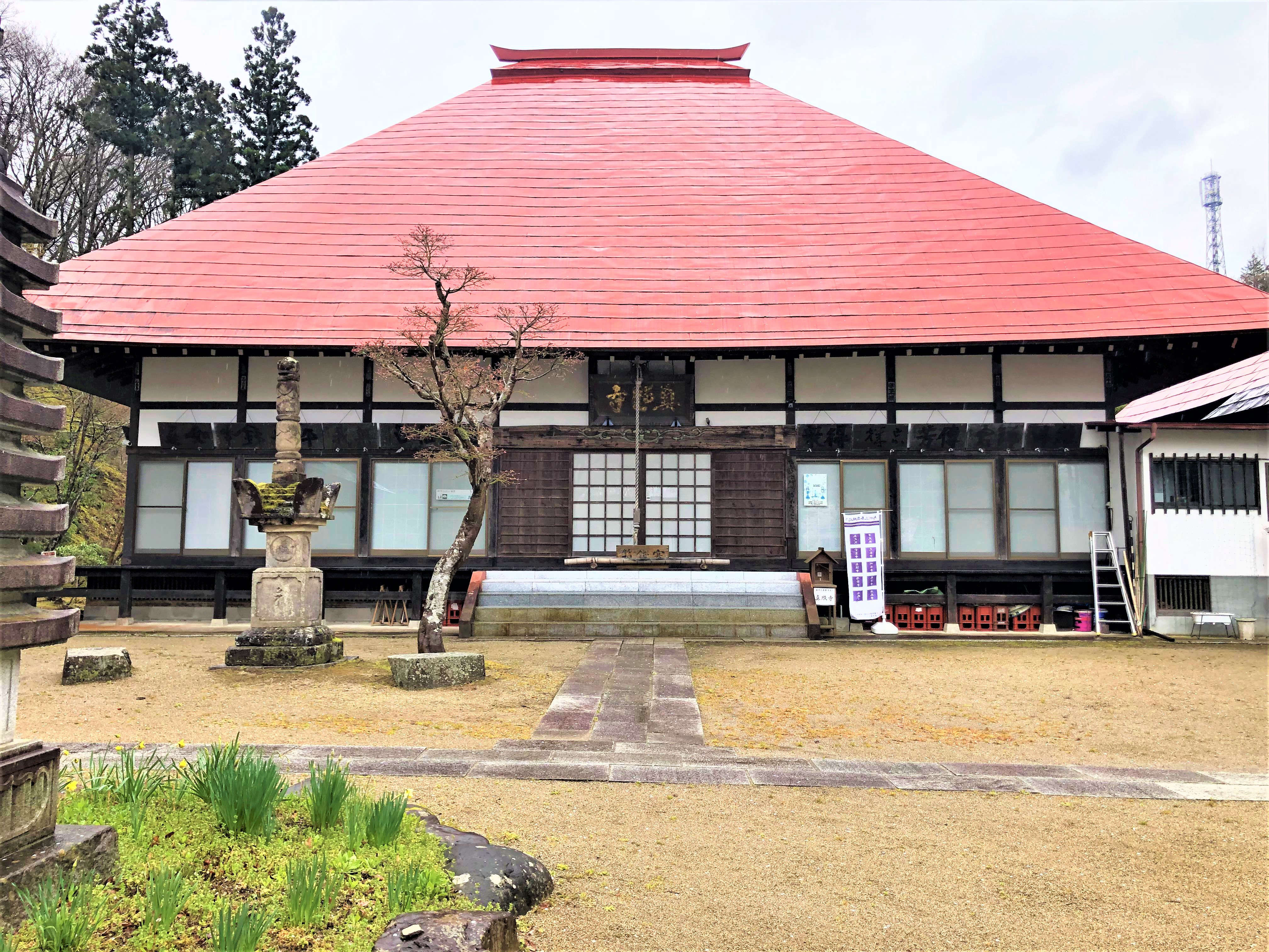 真照寺の水芭蕉 新着情報 菊川屋 三春町の葬儀 葬祭