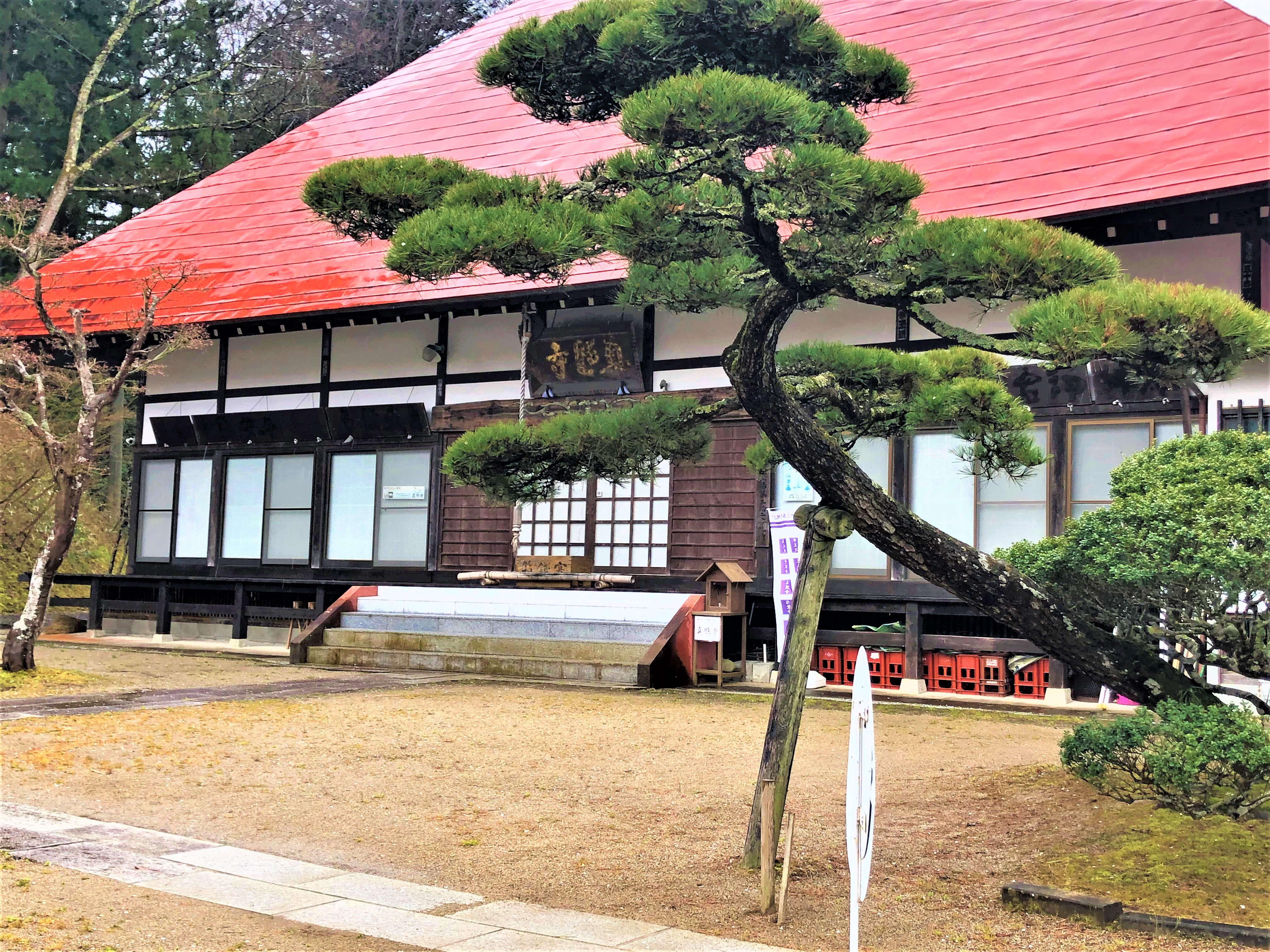 真照寺の水芭蕉 新着情報 菊川屋 三春町の葬儀 葬祭