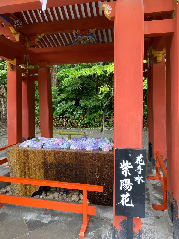 八幡様の花手水 | FLORAL DIARY | FLORAL ANTIQUES