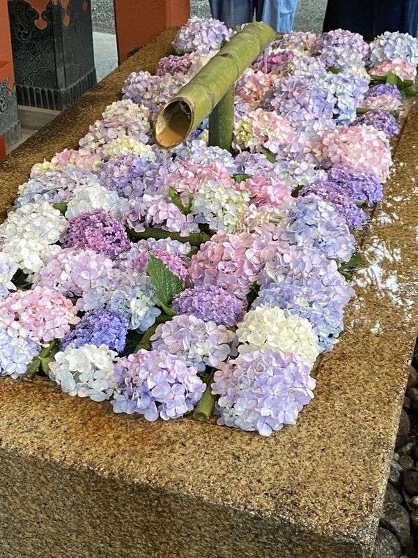 八幡様の花手水 | FLORAL DIARY | FLORAL ANTIQUES