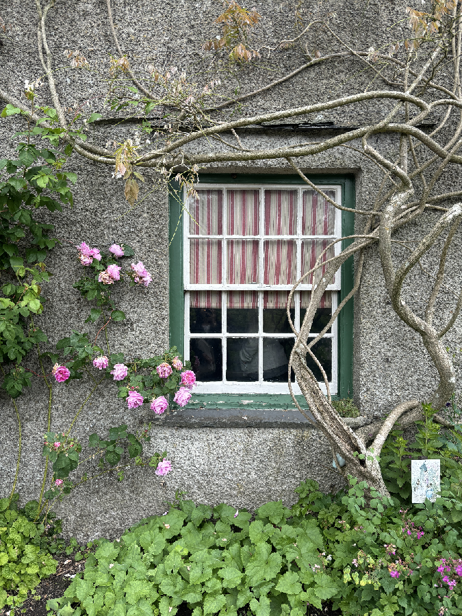 イギリス買付日記・湖水地方② | FLORAL DIARY | FLORAL ANTIQUES イギリス買付日記・湖水地方② | FLORAL DIARY | FLORAL ANTIQUES