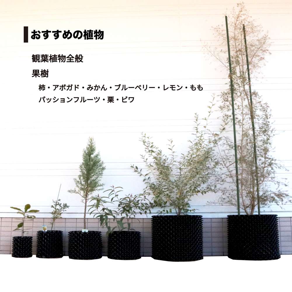 ＫＫＢさん専用 ポポラス　ルートプラスポット2枚追加　/ 674 kichise-engei_gsap350swh-5