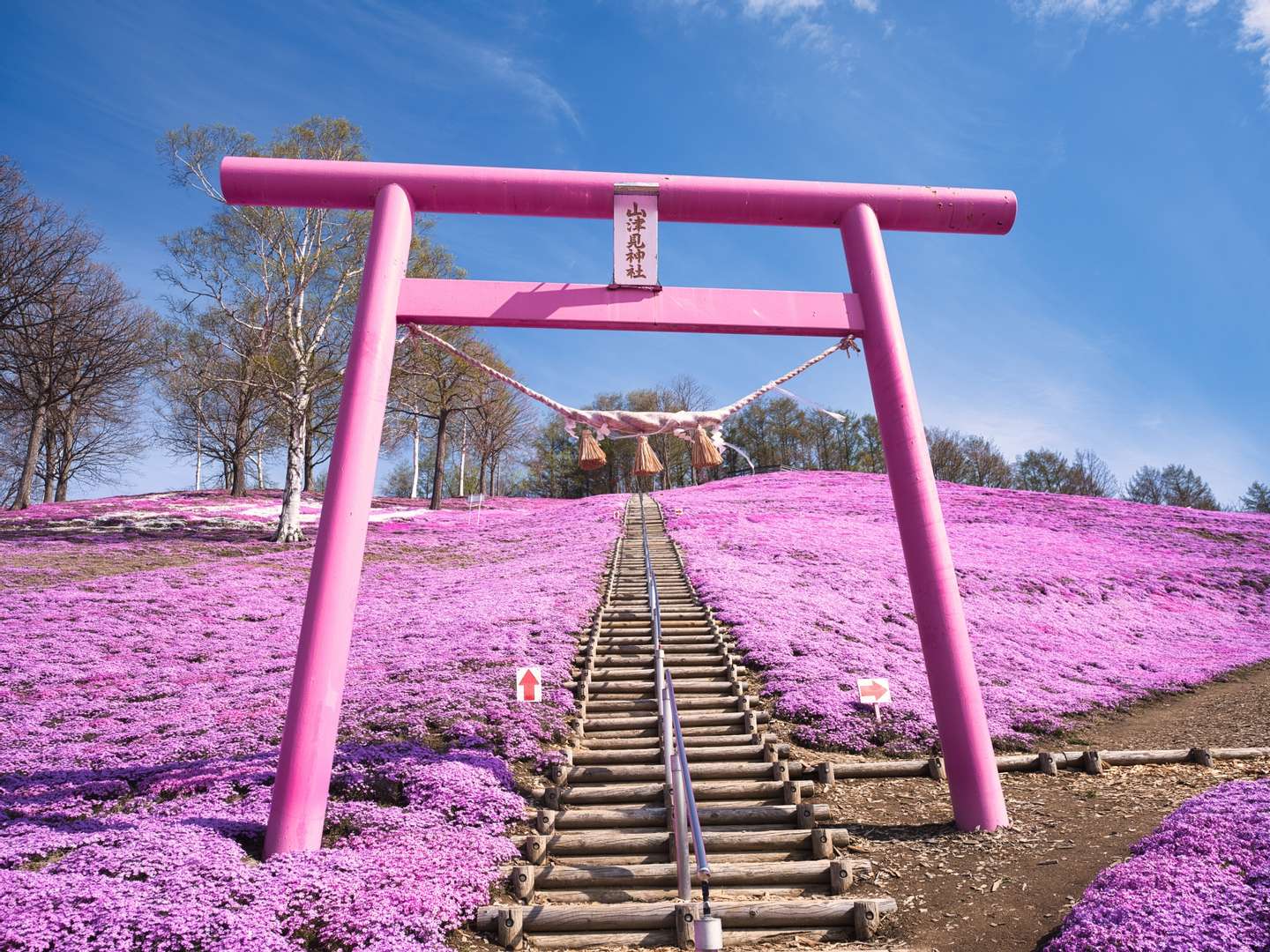 この春行きたい 北海道お花見スポット3選 Hokkaido Local Media Blog 北海道ローカルメディアスペース