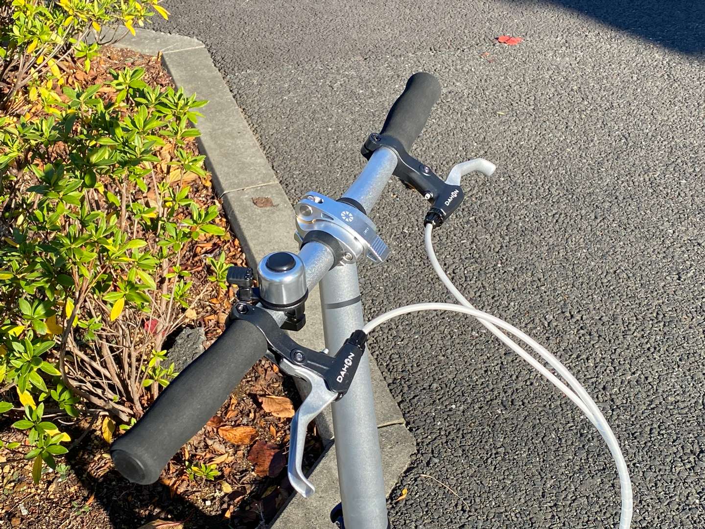 DAHON DOVE PLUS ポリッシュ入荷 | 十日市場店ブログ | スポーク