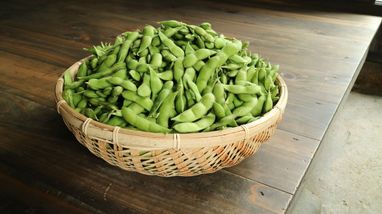 ブログ|くろさき茶豆農商工連携協議会