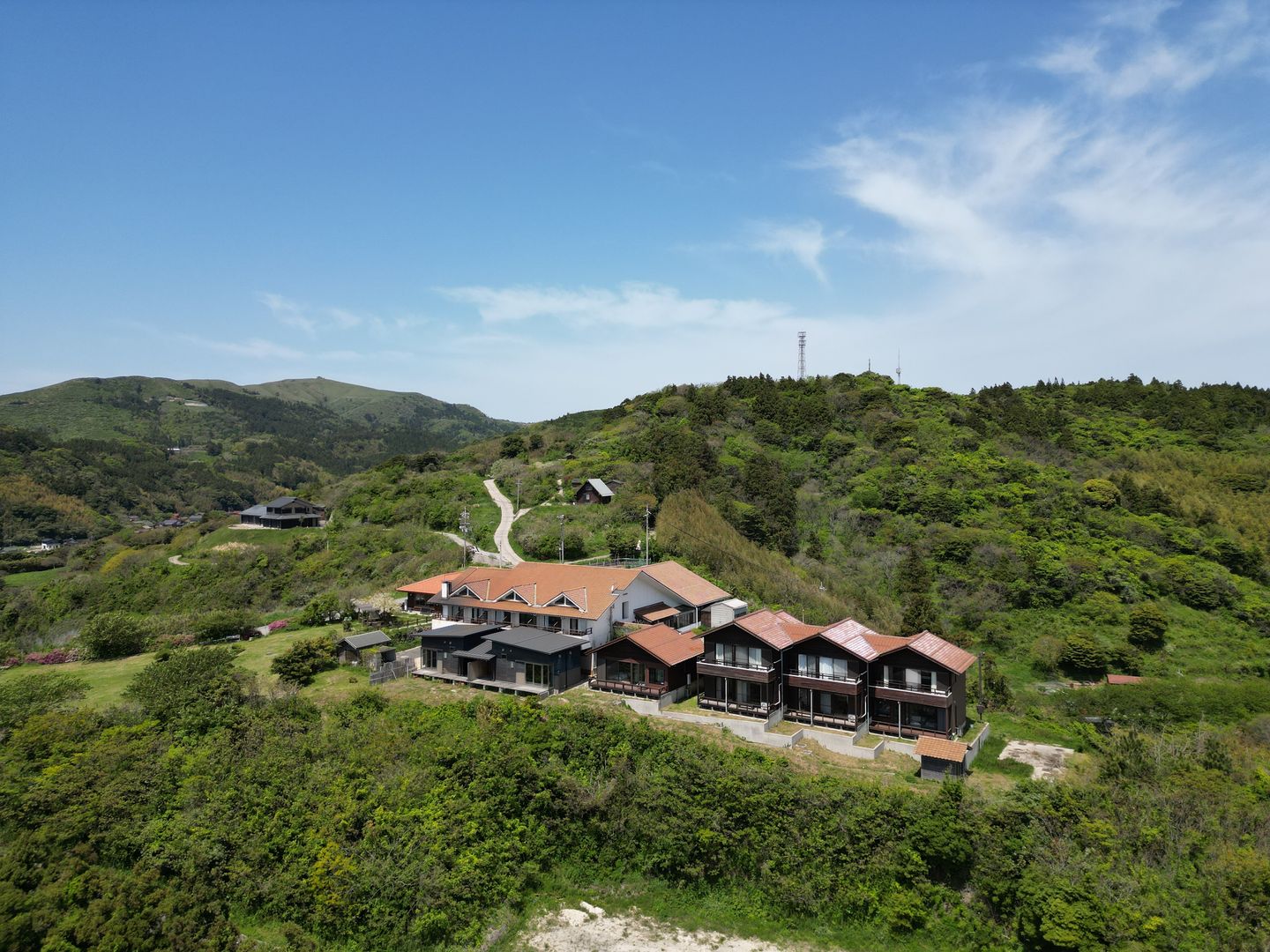 知夫里島 ペット 宿泊