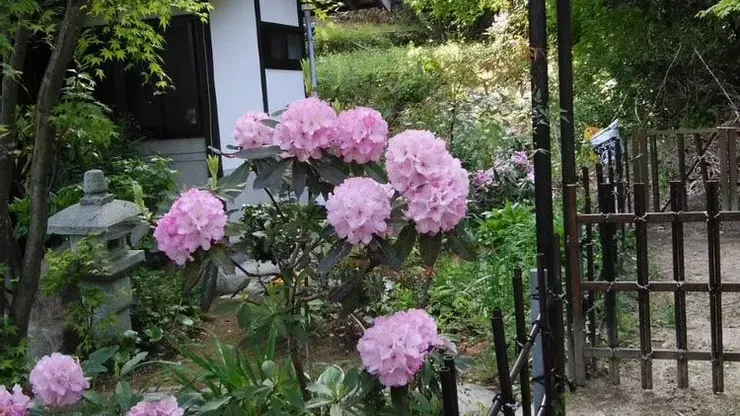 ガーデンカフェ・モモ