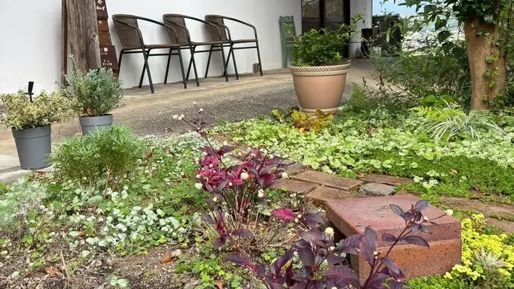 暮らしの杜の庭