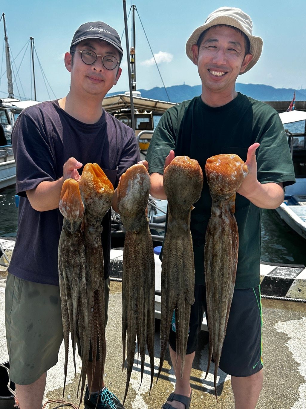 ①/2週刊　日本の魚釣り　まとめ売り　大量　アシェット ①/2週刊 日本の魚釣り まとめ売り 大量 アシェット
