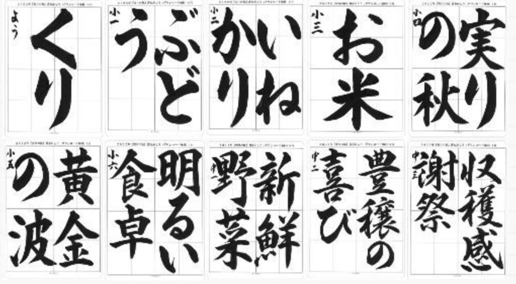 指導用手本 お値下げ sigmax-officialshop_30510