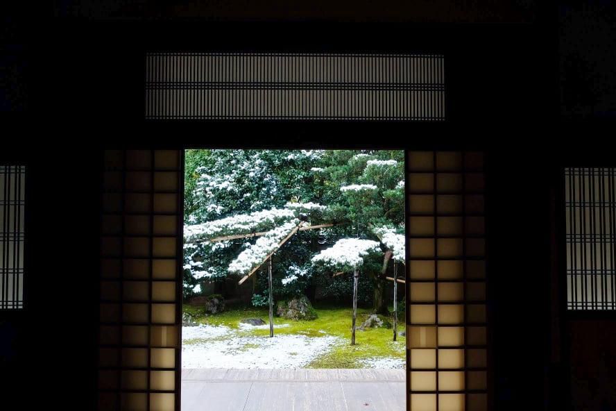 zoom坐禅 | 大徳寺だより | 大徳寺 大慈院